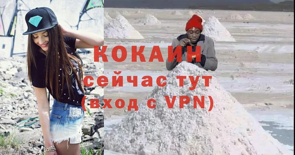 мдпв Богородск