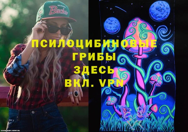 хмурый Богородицк