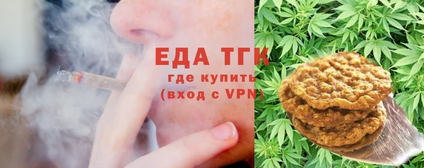 мдпв Богородск