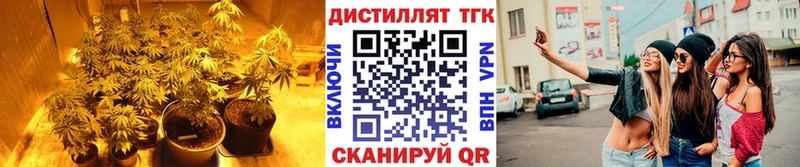 ТГК жижа  blacksprut сайт  Кинешма 