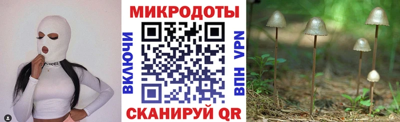 как найти закладки  Кинешма  hydra сайт  Псилоцибиновые грибы Cubensis 